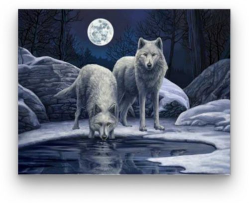 Farkasok Telihold Éjjelén - akciós számozott kifestő készlet