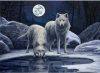Farkasok Telihold Éjjelén - akciós számozott kifestő készlet