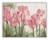 Rózsaszín Tulipánok - akciós számozott kifestő készlet