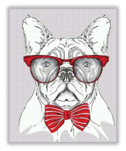 Szemüveges Francia Bulldog - akciós számozott kifestő készlet