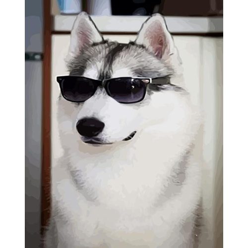 Kutya napszemüvegben - számozott kifestő