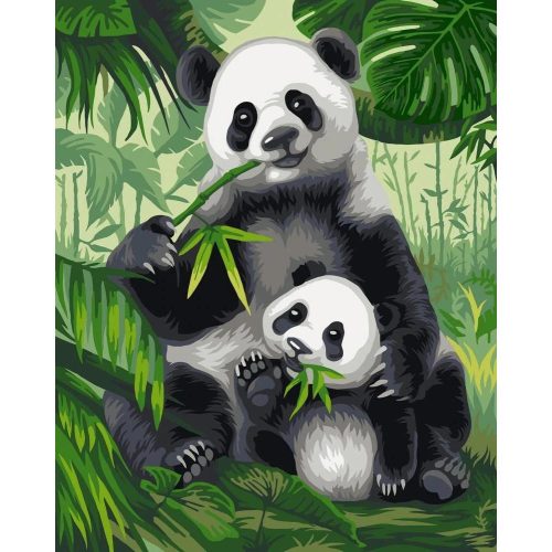 Pandák - számozott kifestő