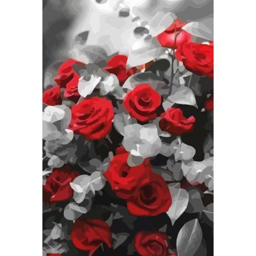 Vörös rózsák - számozott kifestő