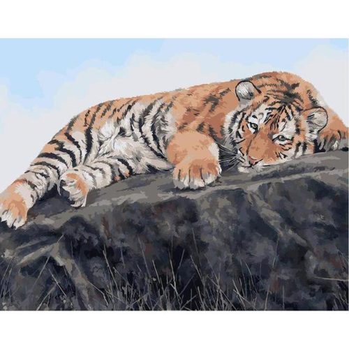 Tigris a sziklán - számozott kifestő