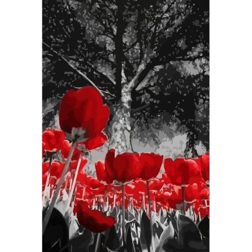 Vörös tulipánok - számozott kifestő