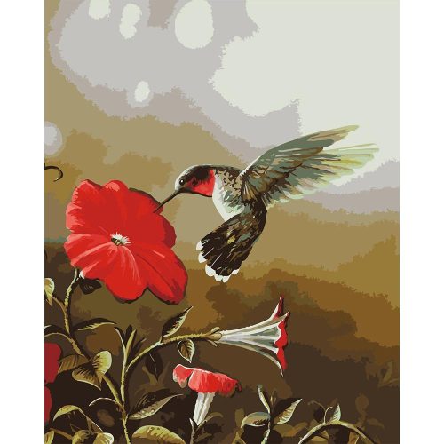 Kolibri - számozott kifestő