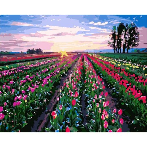 Tulipán mező - számozott kifestő