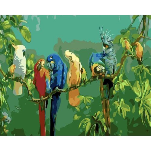 Papagájok 2 - számozott kifestő
