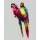 Színes papagájok - számozott kifestő