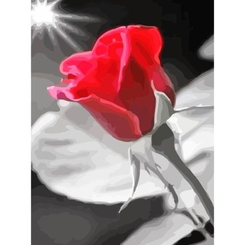 Vörös rózsa 2 - számozott kifestő