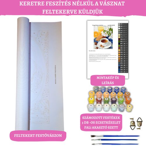 Párizsi rózsacsokor - számozott kifestő