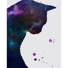 Galaxis macskája - számozott kifestő