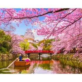 Cseresznyevirágzás - számozott kifestő