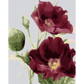 Gyönyörű bordó virágok - számozott kifestő