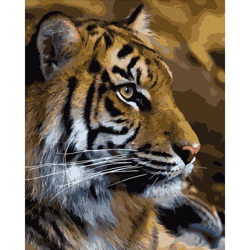 Tigris - számozott kifestő