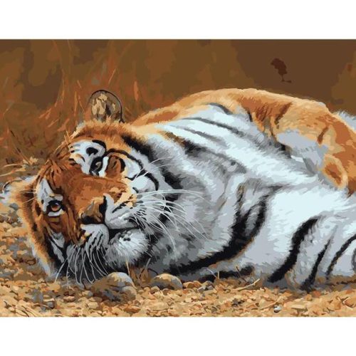Pihenő tigris - számozott kifestő