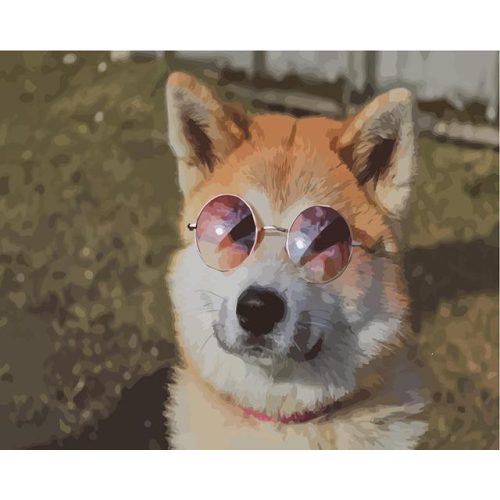 Napfürdőző kutya - számozott kifestő