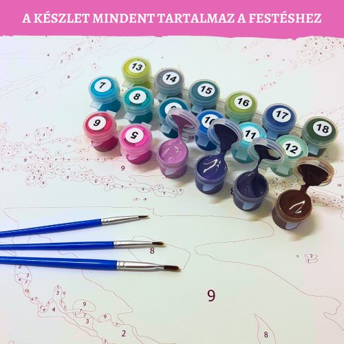 Kolibrik tánca - számozott kifestő