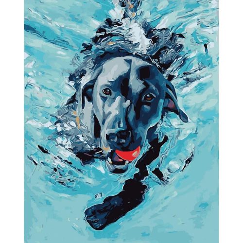 Úszó kutyus - számozott kifestő