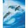 Ugró delfinek - számozott kifestő