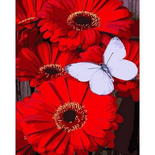 Pillangó piros virágokon - számozott kifestő