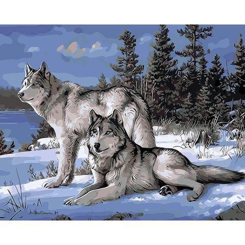 Szürke farkasok - számozott kifestő