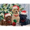 Karácsonyi kutyusok - számozott kifestő