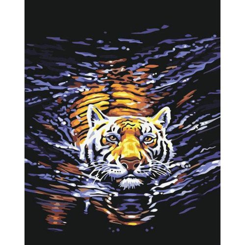 Úszó tigris - számozott kifestő