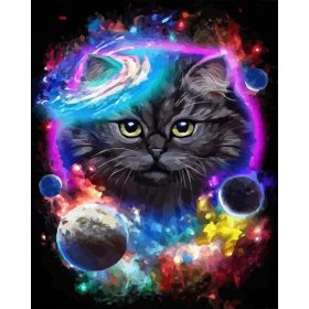 Cica a galaxisban - számozott kifestő