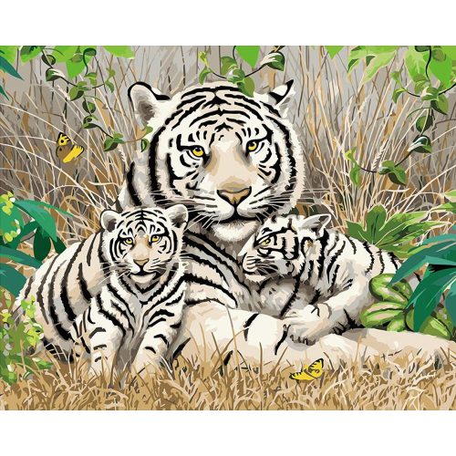 Szibériai tigris család - számozott kifestő