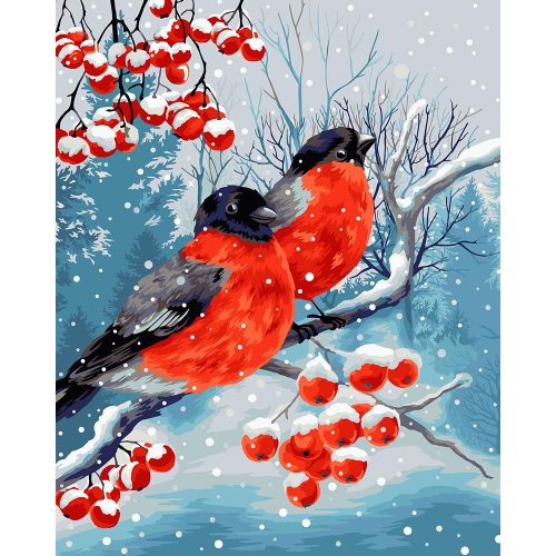 Téli madár csendélet - számozott kifestő