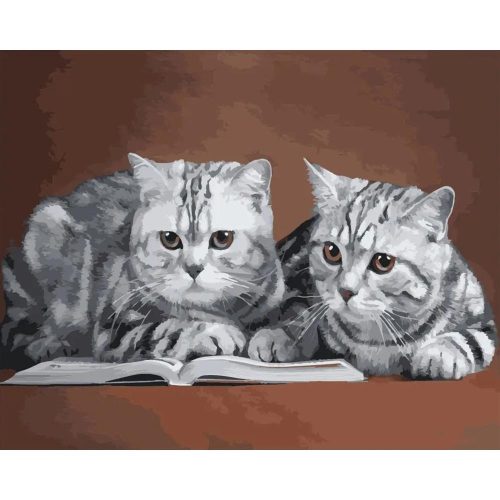 Olvasó cicák - számozott kifestő