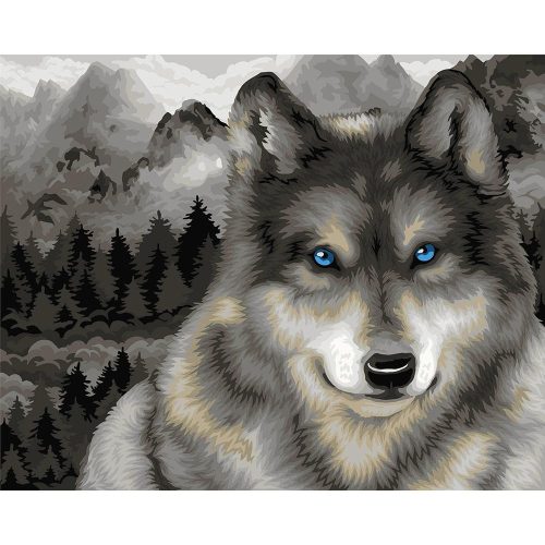 Kékszemű farkas a hegyen - számozott kifestő