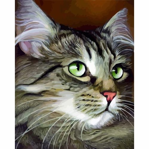 Zöld szemű cica - számozott kifestő