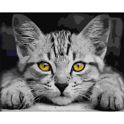 Sárga szemű cica - számozott kifestő