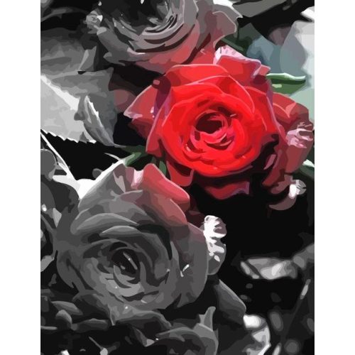 Szürke-piros rózsa - számozott kifestő