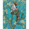 Van Gogh a fa tetején - számozott kifestő