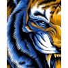 Tigris szem - számozott kifestő