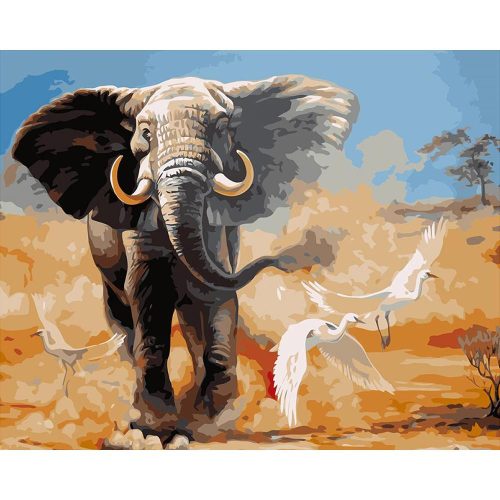 Elefánt a szavannán - számozott kifestő