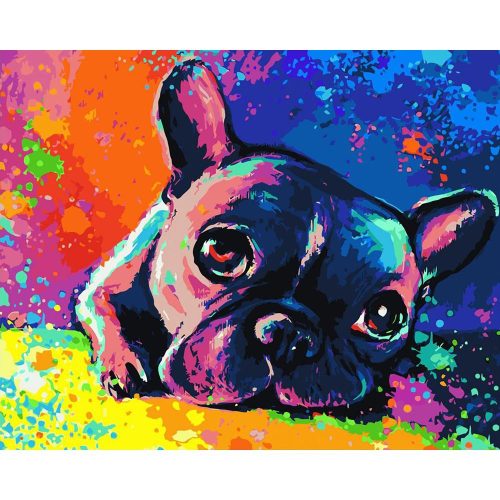 Színes bulldog - számozott kifestő