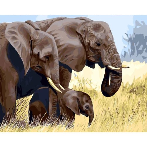 Elefánt cslád - számozott kifestő