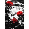 Piros-szürke rózsák - számozott kifestő