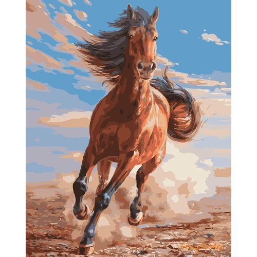 Vágtató barna ló - számozott kifestő