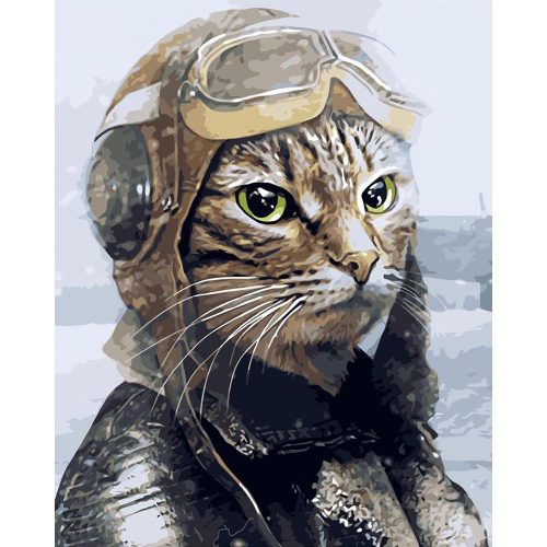 Macska pilóta - számozott kifestő