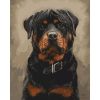 Rottweiler - számozott kifestő